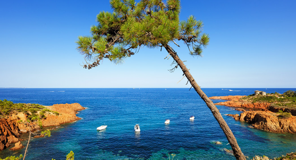 Simpson Travel acquires South France Villas